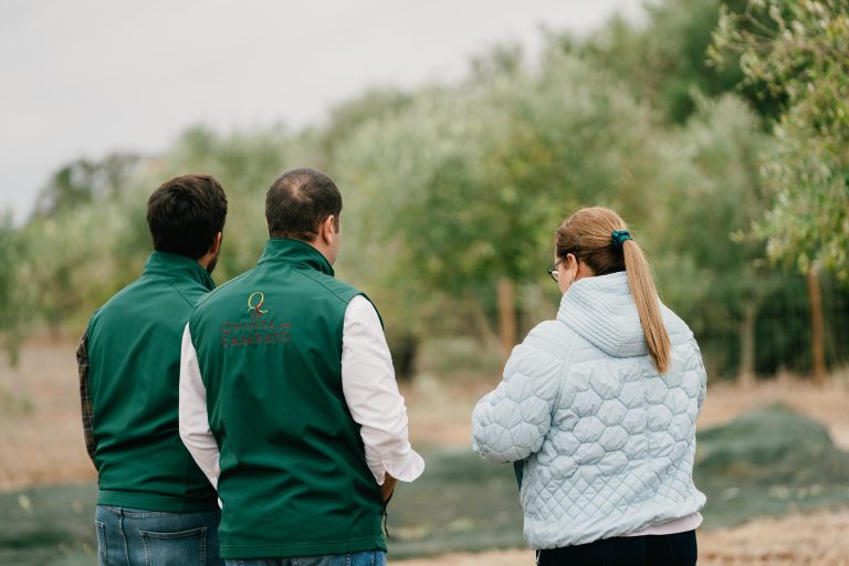 Quinta_do_Sampayo_Azeitona (1 de 110)