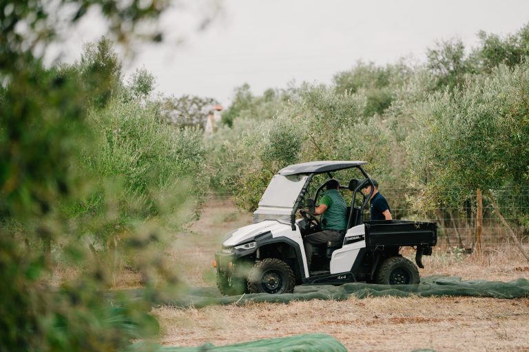 Quinta_do_Sampayo_Azeitona (14 de 110)