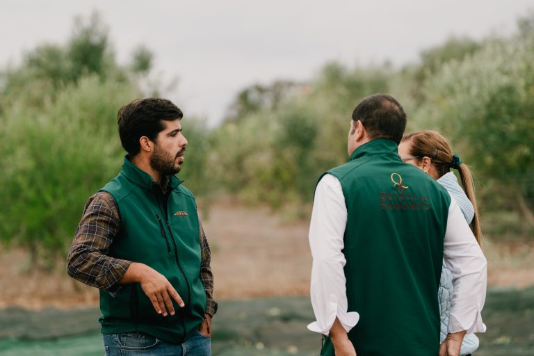 Quinta_do_Sampayo_Azeitona (4 de 110)