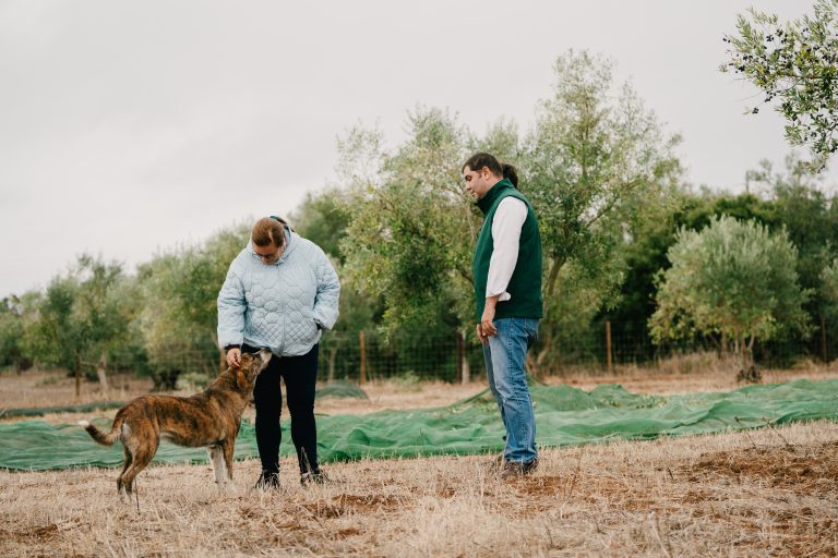 Quinta_do_Sampayo_Azeitona (9 de 110)